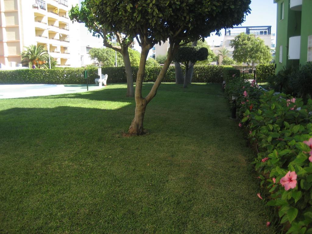 Los Juncos Apartamentos - Solo Familias Oliva Exterior photo
